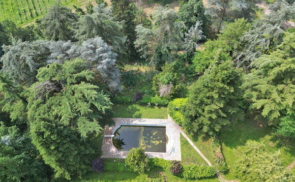 villa-vendita-monferrato (177)