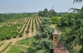 villa-vendita-monferrato (169)