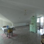 Thumbnail of 