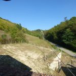 Thumbnail of 
