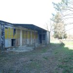 Thumbnail of 