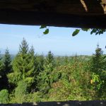 Thumbnail of 