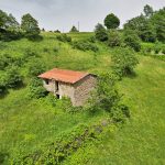 Thumbnail of 