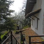 Thumbnail of 