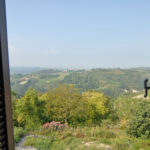 Thumbnail of 