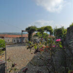 Thumbnail of 