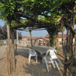Thumbnail of 