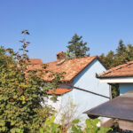 Thumbnail of 