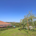 Thumbnail of 
