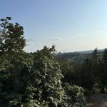 Thumbnail of 