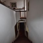 Thumbnail of 