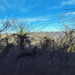 Thumbnail of 