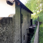Thumbnail of 