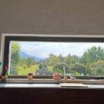 Thumbnail of 