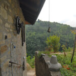 Thumbnail of 