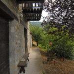Thumbnail of 