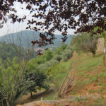 Thumbnail of 
