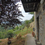 Thumbnail of 