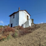 Thumbnail of 