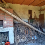 Thumbnail of 