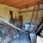 Thumbnail of 