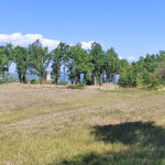 Thumbnail of 