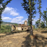 Thumbnail of 