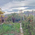 Thumbnail of 