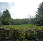 Thumbnail of 