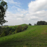 Thumbnail of 