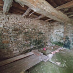 Thumbnail of 