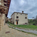 Thumbnail of 