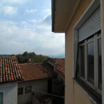 Thumbnail of 