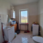 Thumbnail of 