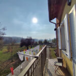 Thumbnail of 
