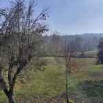 Thumbnail of 