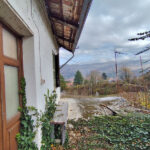 Thumbnail of 