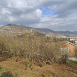 Thumbnail of 