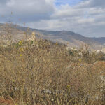 Thumbnail of 