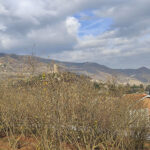 Thumbnail of 