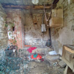 Thumbnail of 