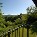 Thumbnail of 