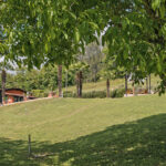 Thumbnail of 