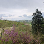 Thumbnail of 