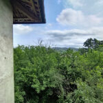 Thumbnail of 