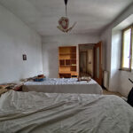 Thumbnail of 