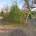Thumbnail of 