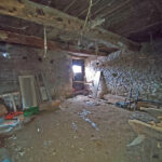 Thumbnail of 