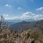 Thumbnail of http://casa%20di%20pregio%20in%20vendita%20a%20bossolasco