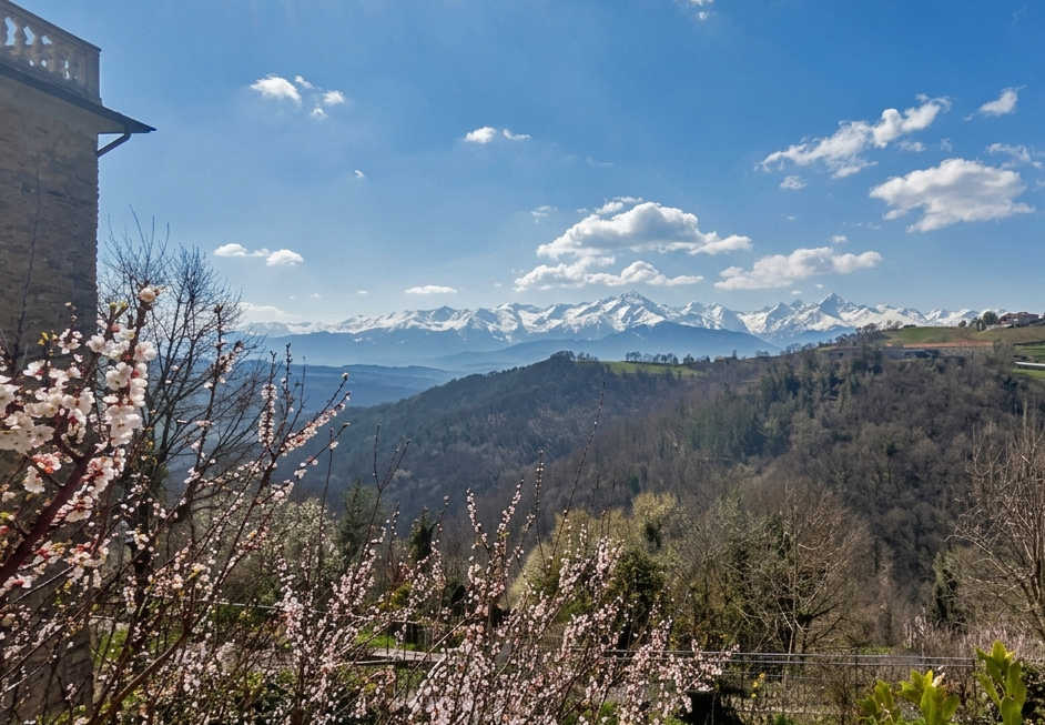 casa di pregio in vendita a bossolasco